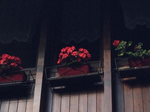 three flower baskets with red flowers in them on a wall at BnB Trento in Trento