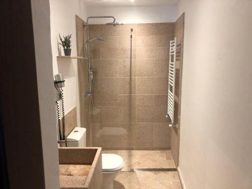 a bathroom with a shower with a toilet and a sink at Varanda Do Alentejo in Marvão