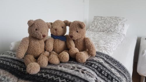 Birkimelur にあるGuesthouse Moraのギャラリーの写真