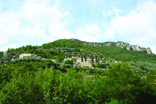 a green hill with houses on top of it at Agriturismo Nonnamelia in Nasino
