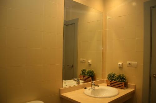 La salle de bains est pourvue d'un lavabo et d'un miroir. dans l'établissement Apartamentos Apartour Bormujos, à Bormujos