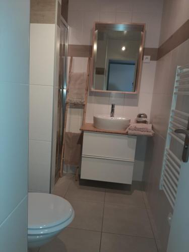 une salle de bain avec un lavabo, des toilettes et un miroir dans l'établissement Vacances cocooning, à La Londe-les-Maures