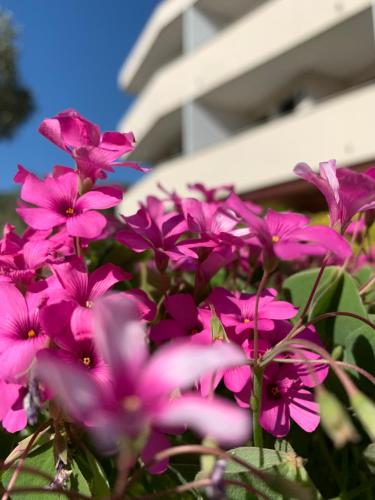 Κήπος έξω από το Eurobeach Residence