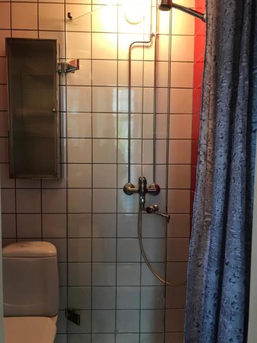 a shower in a bathroom with a toilet at Willa Strand in Kristiinankaupunki