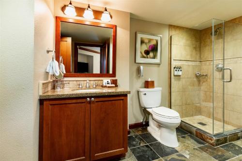 a bathroom with a toilet and a shower and a sink at Everline Resort and Spa, Lake Tahoe in Olympic Valley