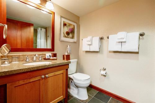 a bathroom with a toilet and a sink and a mirror at Everline Resort and Spa, Lake Tahoe in Olympic Valley