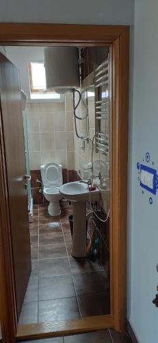 a bathroom with a toilet and a sink at Apartment Marjana in Zlatibor