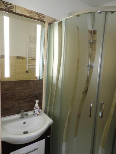 a bathroom with a sink and a shower at Bajka Anity in Wilkasy