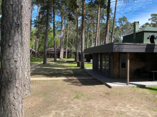 拉脫維亞的住宿－Pine Resort，树旁树林中的建筑