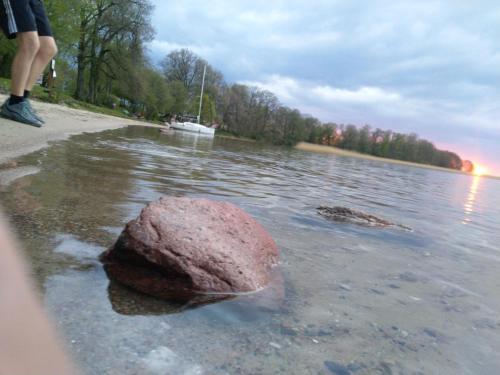 a rock in the water next to a body of water at Dom Królewski Róg in Giżycko