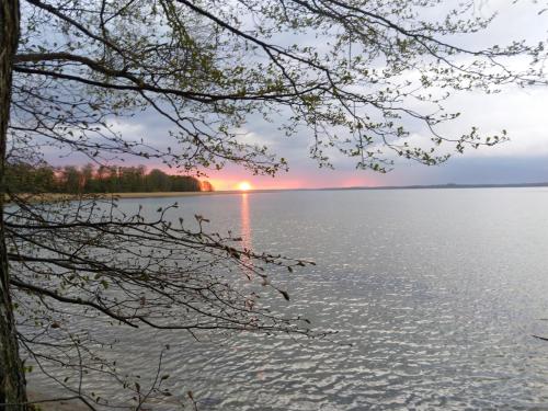 a view of a lake with a sunset in the background at Dom Królewski Róg in Giżycko