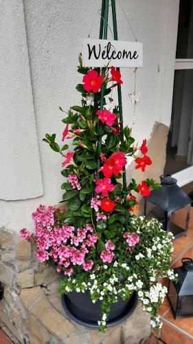 a flower pot with a sign that reads welcome at Munkácsy Apartmanok in Balatonfenyves