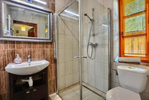 a bathroom with a shower and a toilet and a sink at Agroturystyka Olszynka in Skopanie