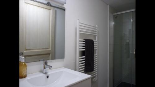 une salle de bain avec un lavabo et une douche en verre dans l'établissement Cauterets centre village 19 couchages, à Cauterets