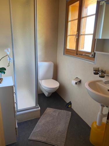 a bathroom with a toilet and a sink and a shower at FeWo Oberhischru in Eischoll