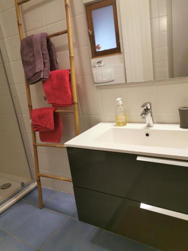 une salle de bain avec un lavabo et une étagère avec des serviettes dans l'établissement Le gite de Coco, à Riquewihr