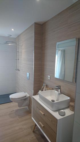 a bathroom with a sink and a toilet and a mirror at Entre Histoire et Terroir - 2 Gîtes de Charme in Kintzheim