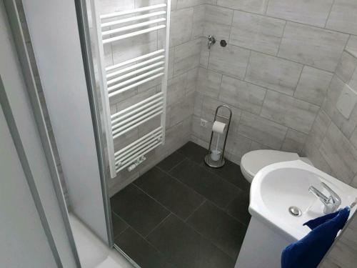 een badkamer met een douche, een toilet en een wastafel bij Einraum-Ferienwohnung 46m2 Eisenhüttenstadt-Diehlo in Eisenhüttenstadt