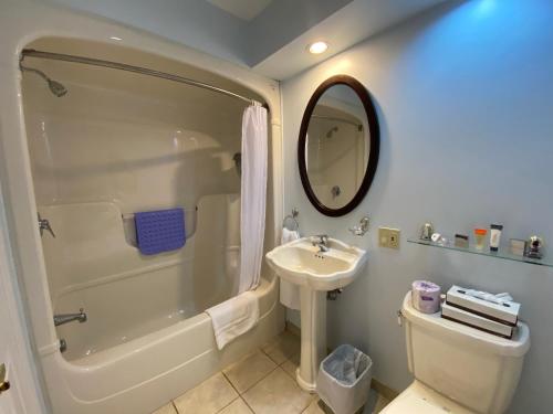 a bathroom with a sink and a shower and a toilet at Auberge Gisele's Inn in Baddeck