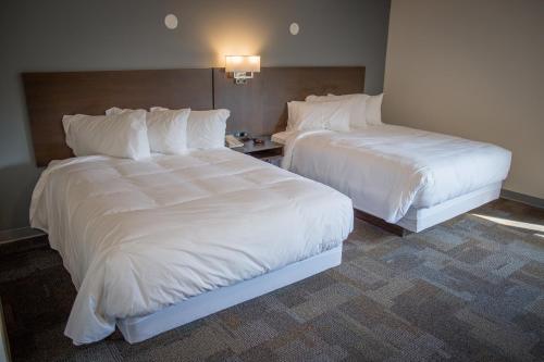 Bedrock Motel – Photos 2