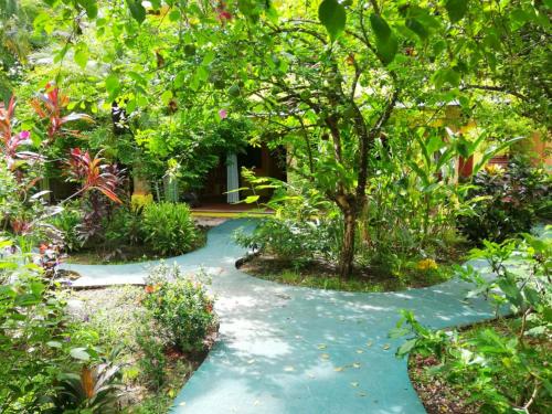 un chemin de jardin avec un arbre au milieu dans l'établissement Villas Verdes, à Sámara