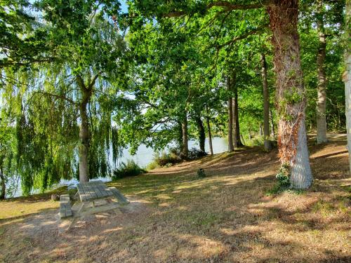 a park bench sitting in front of a body of water at les forges du lou in Jugon Les Lacs