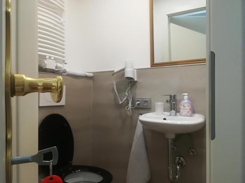 a small bathroom with a toilet and a sink at House LA Neuschwanstein Blick - Budget City Hotel in Füssen