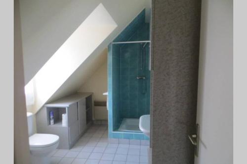 a bathroom with a shower and a toilet and a sink at Beg Meil in Fouesnant