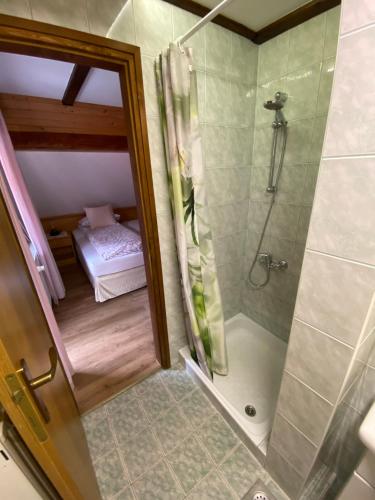 Ett badrum på Hiša Planšar Bohinj accommodations