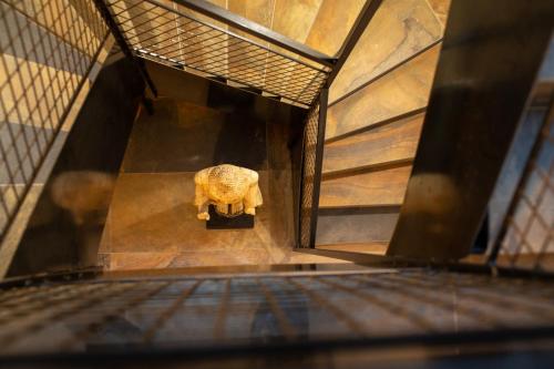 a room with a statue of an elephant on the floor at Green & Breakfast in Niederpallen