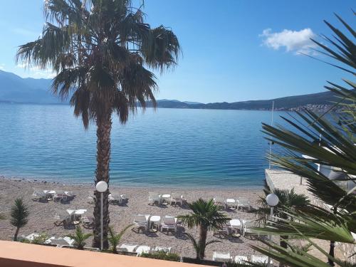 a beach with chairs and palm trees and the water at Apartmani Kalinic in Bijela