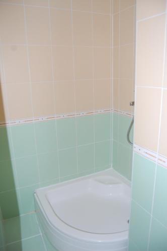 a bathroom with a toilet and a bath tub at Hotel Bucegi Portile Regatului in Paraul Rece