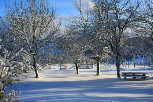 a park covered in snow with a bench and trees at Gîte Banet-Sart à Daverdisse in Daverdisse
