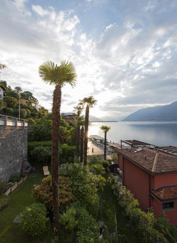 a group of palm trees and a body of water at Casa Eva in Ronco s/Ascona - Porto Ronco