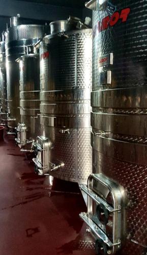 Foto dalla galleria di Wine Hotel Cesarica a Međugorje