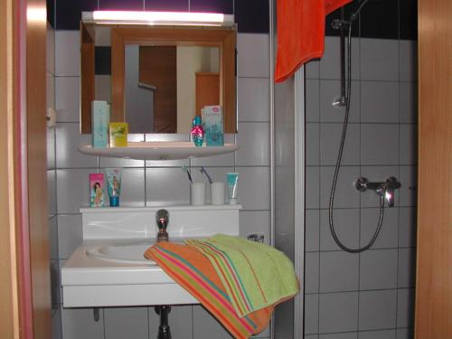 Planneralm的住宿－Ferienwohnung 11 Planneralm，一间带水槽、镜子和淋浴的浴室