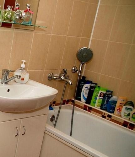 a bathroom with a shower and a sink and a tub at TOPILCHE APARTMENT in Ternopil