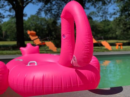 un cisne rosa inflable frente a una piscina en The Annex Retreat - a luxury countryside villa, en Geysteren