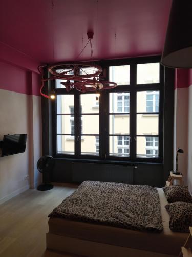 Premium Bike Apartment