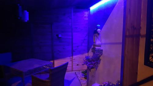 a room with a woman in a room with purple lights at Mini Studio in Augustów
