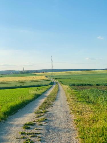 a dirt road in the middle of a field at Intergroup Business & Design Hotel Ingolstadt in Kösching