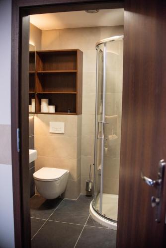 a bathroom with a toilet and a shower at Stacja Jura in Kroczyce