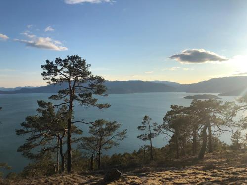 a view of a lake with trees on a hill at Hardanger Fjordtun PANORAMA cabin near the Hardangerfjord with fantastic fjordview, silence and nature in Herand