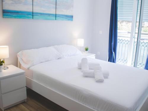 Loft, capitan segarra