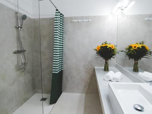 Loft, capitan segarra