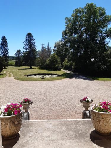 Un jardín fuera de Château de Mongazon