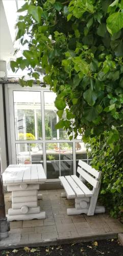 Ein Garten an der Unterkunft Damroka