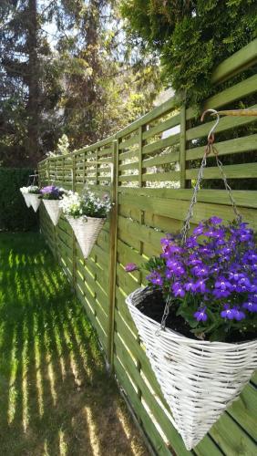 Ein Garten an der Unterkunft Damroka