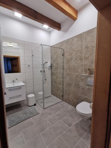 a bathroom with a shower and a toilet and a sink at Apartamenty Stajnia Ojcowizna in Pokrzywnica