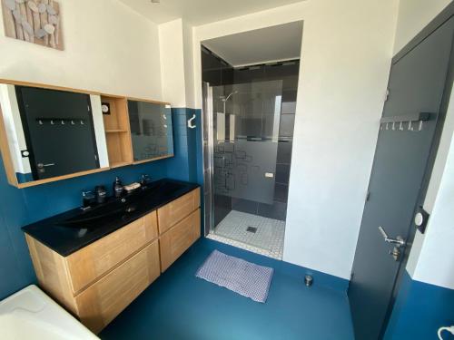 a bathroom with a sink and a shower at La Maison d'Arsène in Le Mans